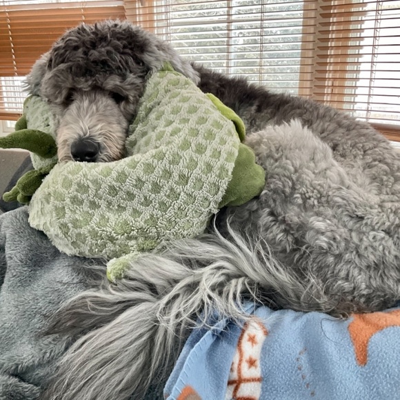 Meet the Posher - Picture 7 of 7